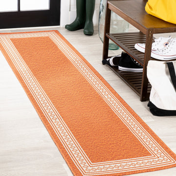 Lucia Classic Diamond Border Indoor/outdoor Area Rug